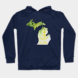 Michigan Hoodie